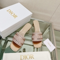 Christian Dior Slippers